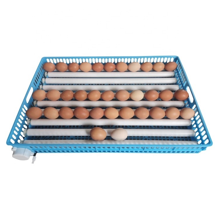 New arrive 100 roller egg tray with blue basket poultry Incubation spare parts for quail egg tray  hatcher