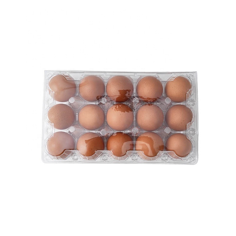 Good Quality 15 holes Disposable Clear PET Egg Trays for Packaging