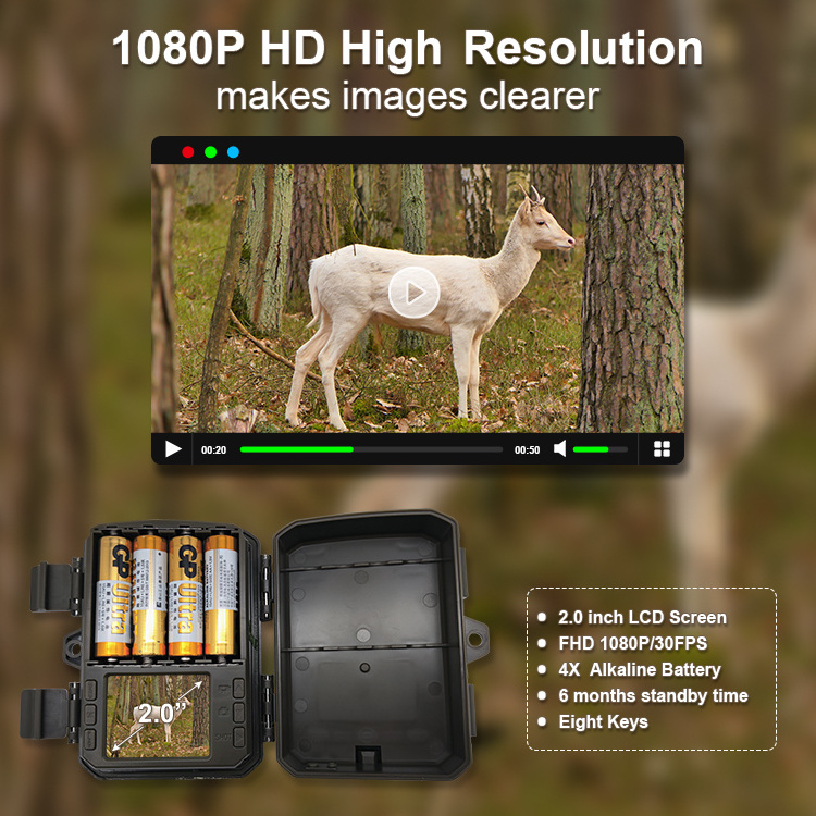 Custom 2.0 inch lcd display IR light outdoor full hd video small hidden wildlife camera hunting rugged waterproof microphone