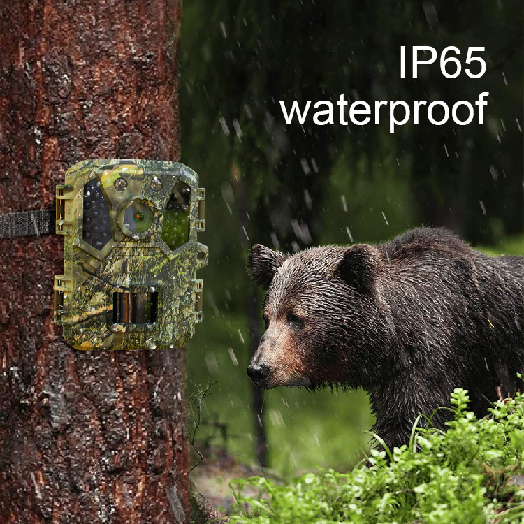 Custom 2.0 inch lcd display IR light outdoor full hd video small hidden wildlife camera hunting rugged waterproof microphone