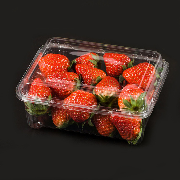 Disposable 500g strawberry blister plastic packaging punnet