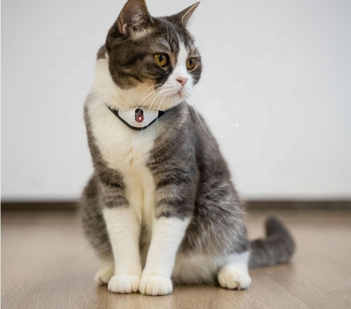 Cheerble New Product KitiDOT the amusing cat collar with laser cat toy cat laser toy