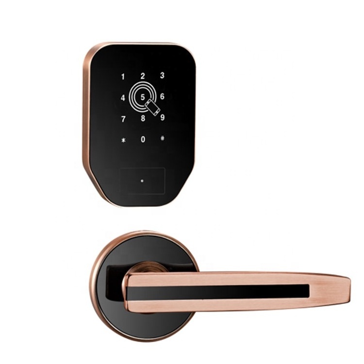 Smart Wifi Digital Code Lock Electronic Ttlock Smart Card Apartment Bluetooth Door Lock