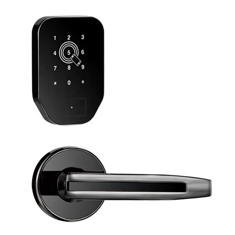 Smart Wifi Digital Code Lock Electronic Ttlock Smart Card Apartment Bluetooth Door Lock