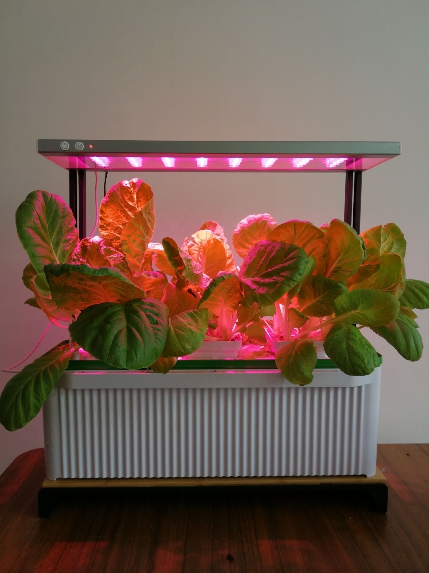 Big Smart Indoor Hydroponic Planter 7L for Herbs Vegetables with 27W LED Grow Light indoor growing hydroponic smart aero garden