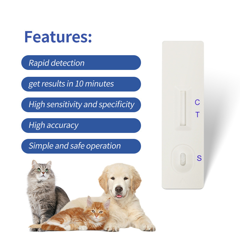 Rapid Veterinary Instrument for Canine Adenovirus Antigen (CAV Ag) Testing for Dogs