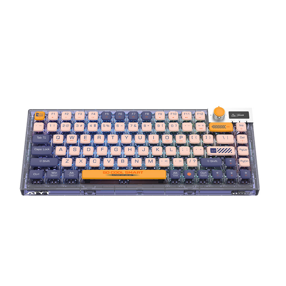 Professional Gaming Kailh Switches Built-in battery TYPE-C Wireless Transparent RGB Mechanical keyboard