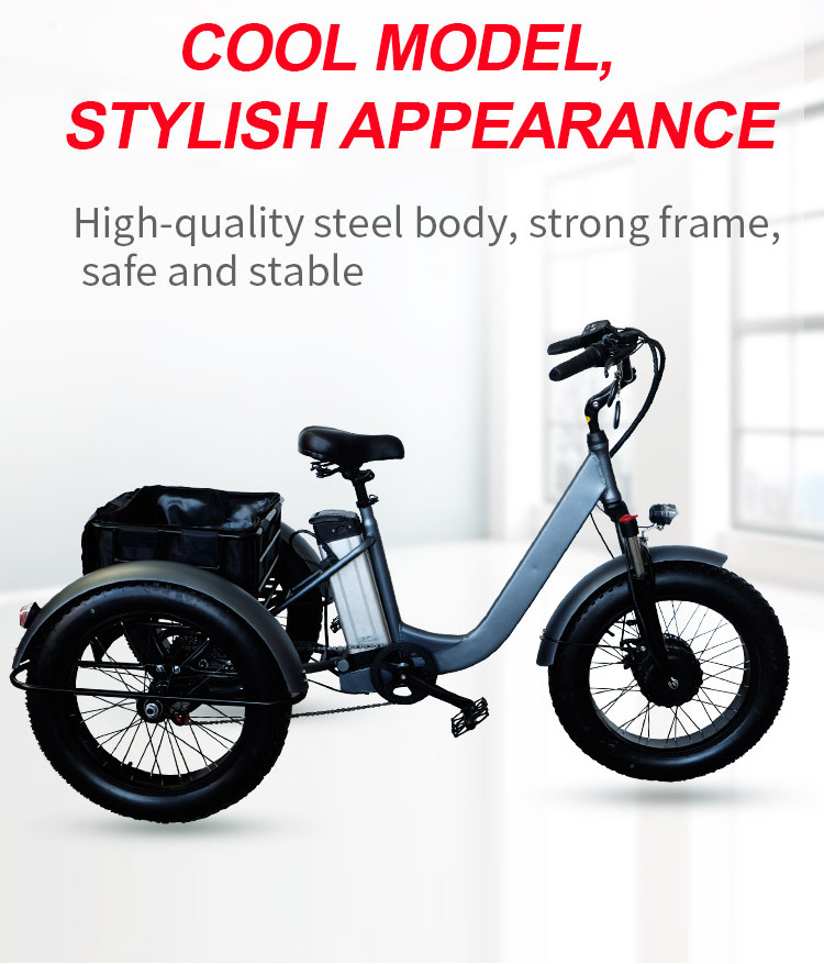 MiLG etrike 48v500w electric tricycle fat tyre 20 inch electric tricycle for seniors With Pedals