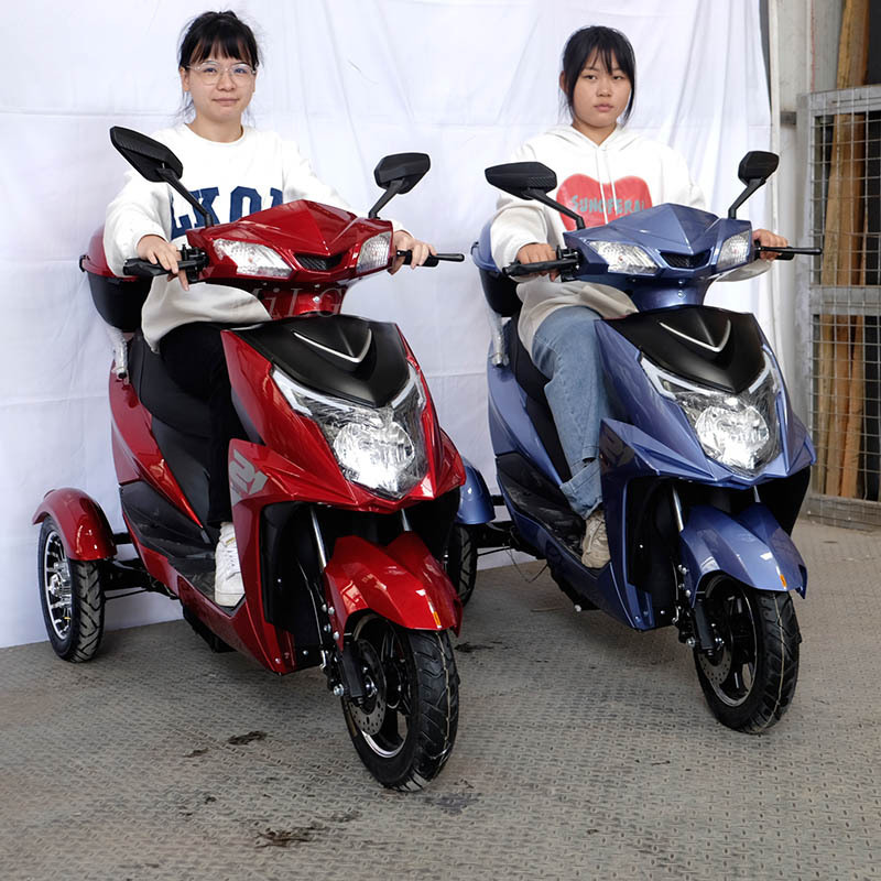 800w electric scooter 3 ruedas motorcycle engine tricycle