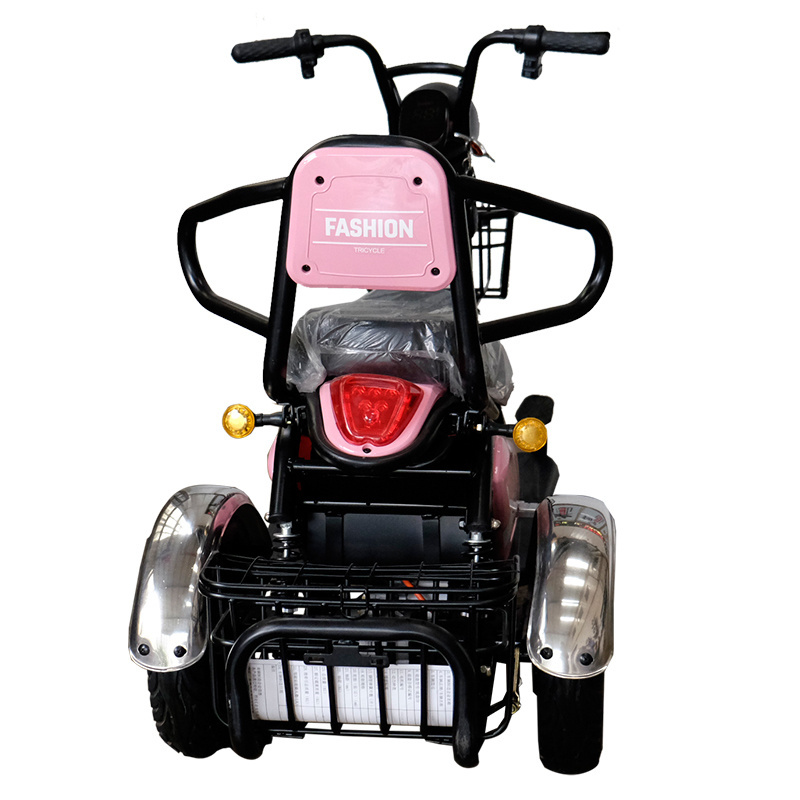 3 wheel 2 person scooters electric tricycles 50kmh three wheel e-bike electric moped three wheeler motorcycle