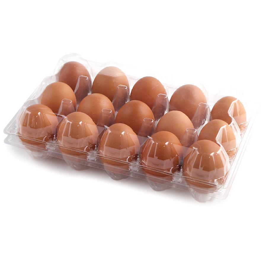 30 hole egg tray PVC material plastic tray egg packaging