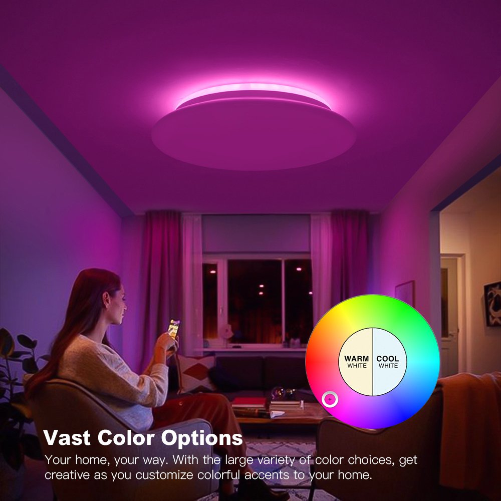 Smart WiFi Ceiling Light 36W Smart APP Voice Modern Simple Wind Ceiling Light RGB+CCT Ceiling Light