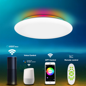 LED Music Ceiling Light with Speaker Smart APP Control 24W 36W RGBW Dimmable Round Mount Lighting for Kitchen Bathroom