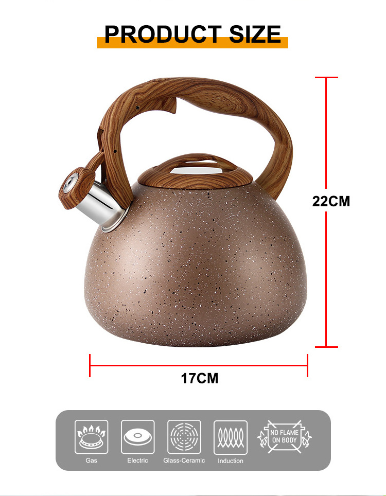 chinese stovetop stove top tea pot kettles stainless steel water whistling kettle for wood stove price color box