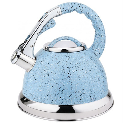 Household tea kettle water kettle for home using stainless steel whistling kettle