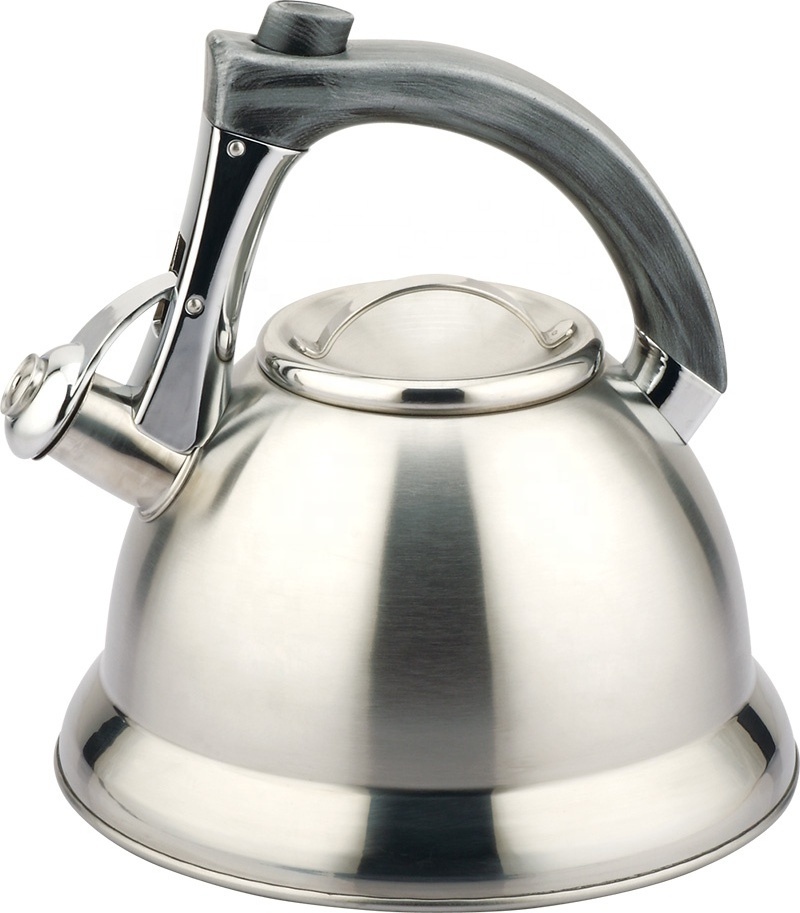 Hausroland Wholesale customized gradient coating  kettle stove top water pot stainless steel whistling tea kettle