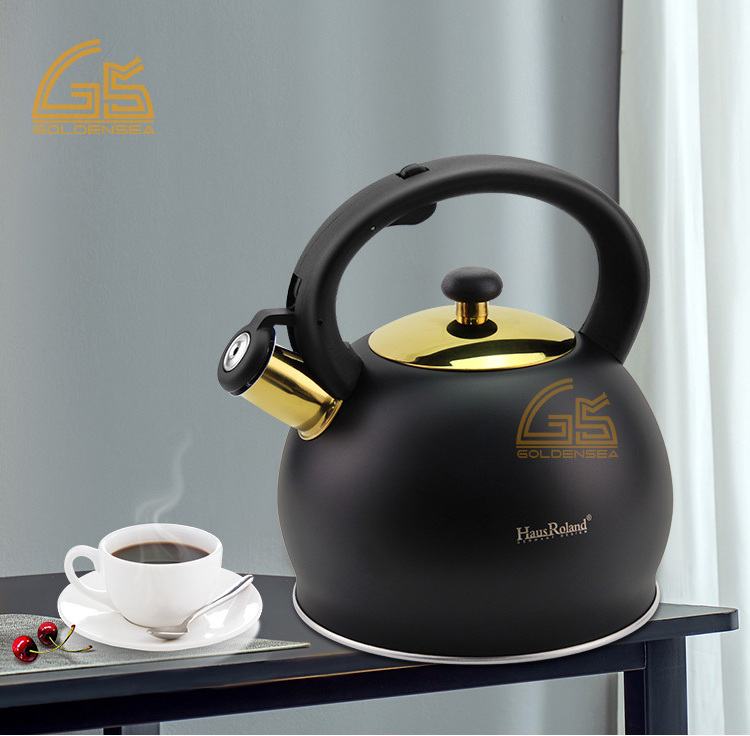 Factory sale nylon handle outdoor campaign double wall teapot kettle 304 201 stainless steel tea whistling water kettle