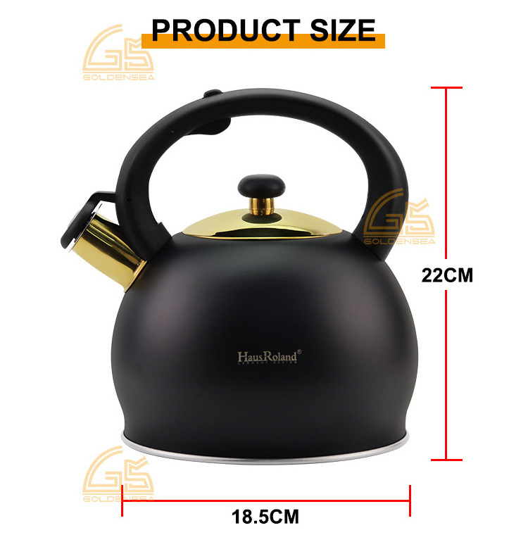 Factory sale nylon handle outdoor campaign double wall teapot kettle 304 201 stainless steel tea whistling water kettle