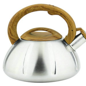 moq low heating kettle stainless gas induction non electric whistle kettle