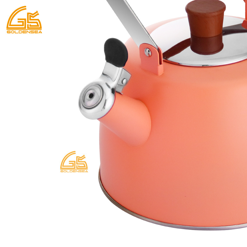 Goldensea New Design Household Stainless Steel Whistling Water Tea Kettle Induction Stove Top Teapot With Color Coating