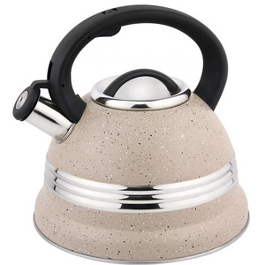 New Design Elegant Color Travel Camping Portable Hot Water Tea Kettle Stainless Steel Non Electrical Kettle Whistle Kettle