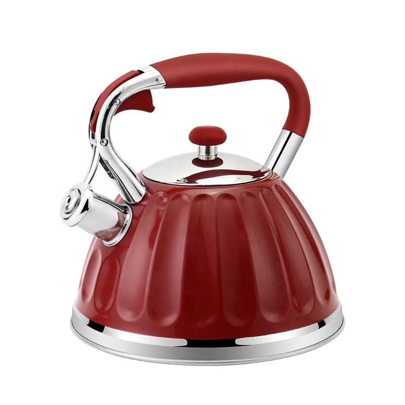 Hausroland whistle kettle indoor kitchen stainless steel stovetop teapot fast boil metal tea kettle