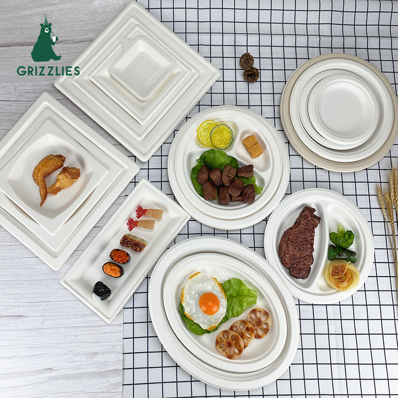 6 7 9 10 inch Disposable Plate Biodegradable Tableware Paper Tableware Sugarcane Bagasse Plate Sugar Cane Plates