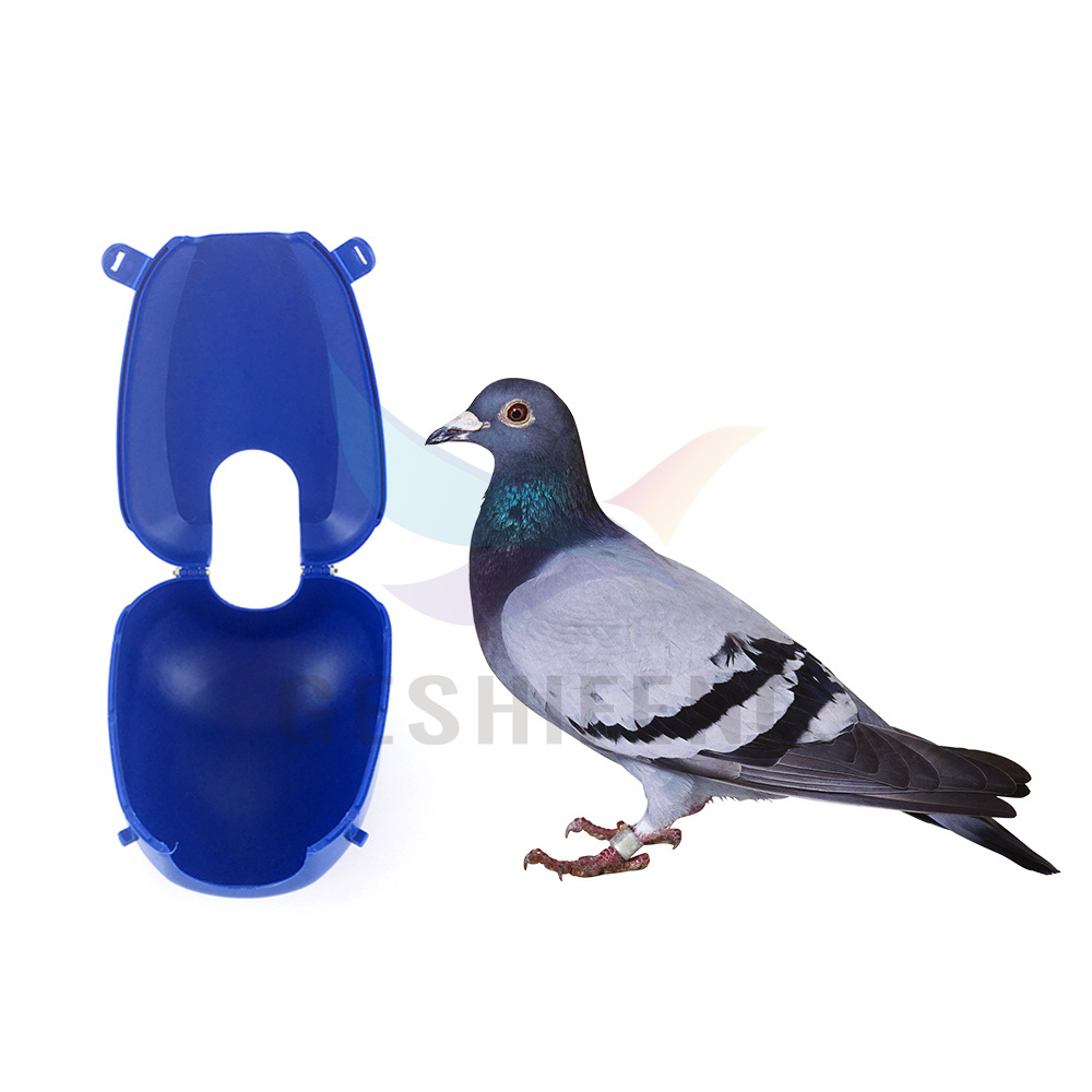 Racing Pigeon Holder For Bird Injection Feeding Vaccination