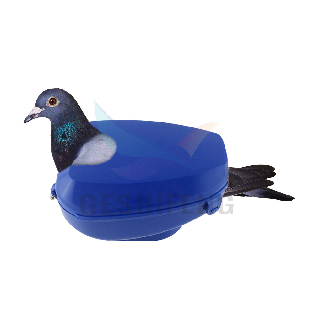 Racing Pigeon Holder For Bird Injection Feeding Vaccination