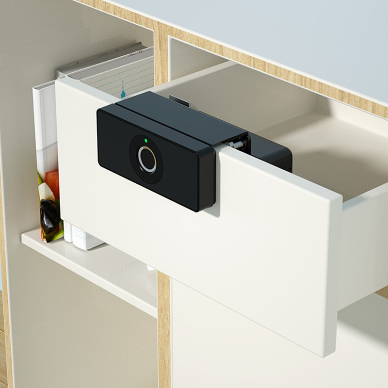 Digital Biometric Fingerprint School Locker Storage Display Cabinet Lock For Furniture Wardrobe