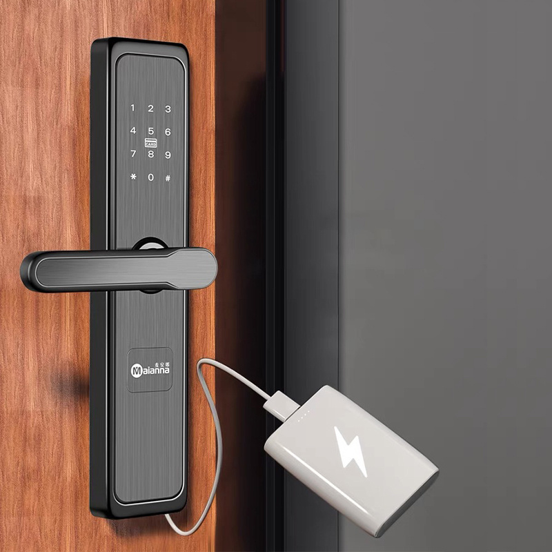 Smart Lock Fingerprint Door Lock Smart Card Fingerprint Door Lock Door Knob With Keypad And Key