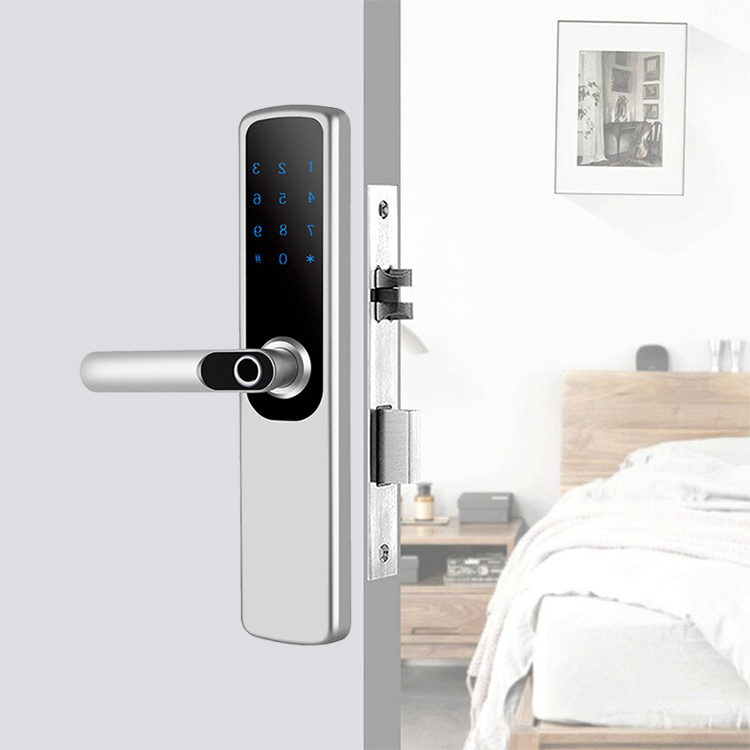 Wifi Smart Door Lock Mechanical Keyless Entry Door Lock Fingerprint Door Lock Waterproof Outdoor Gate