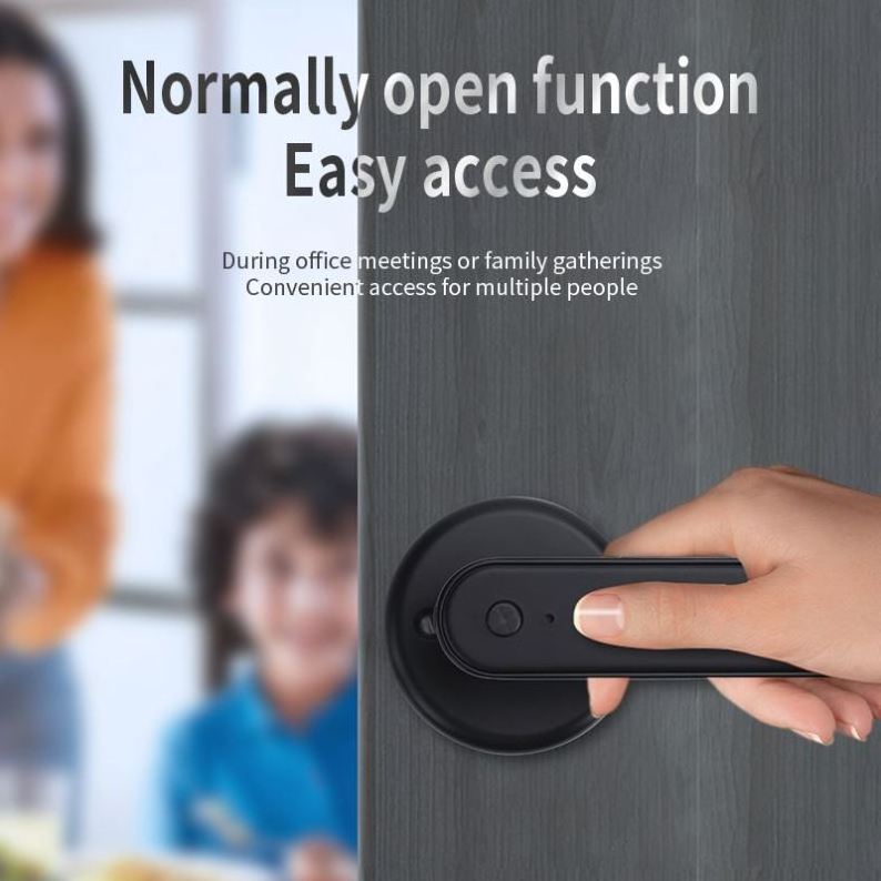 Hot Selling Fingerprint Scanner Door Lock With Low Price