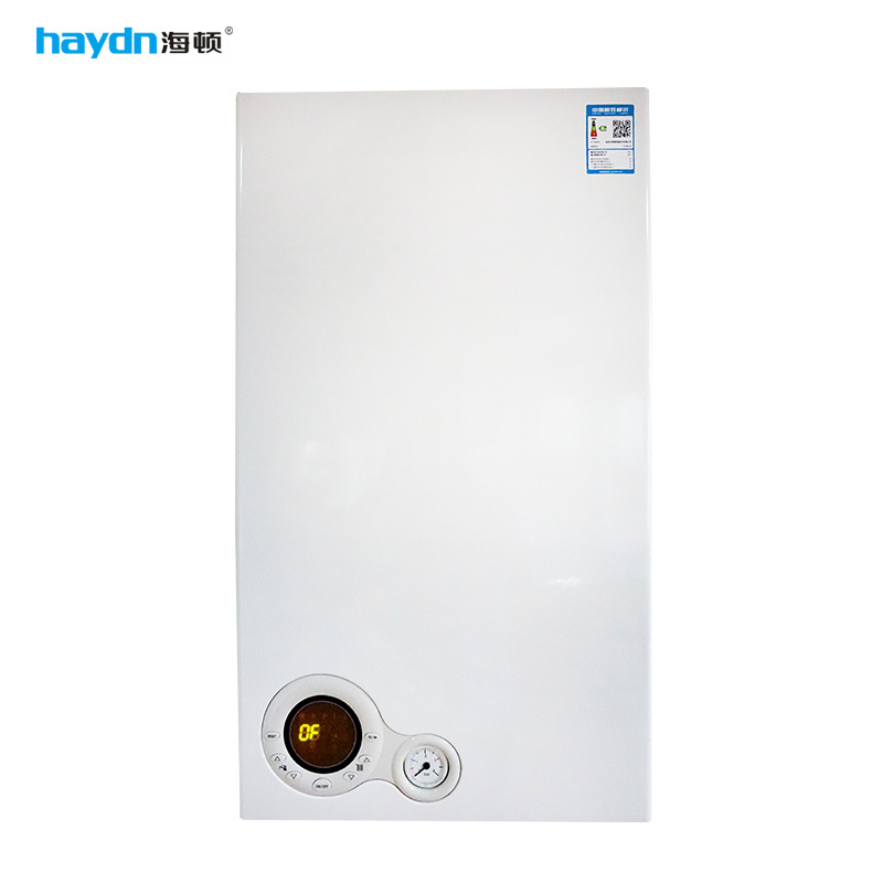 CE natural gas Wall-hung Gas Boiler Ukraine Hot Seller