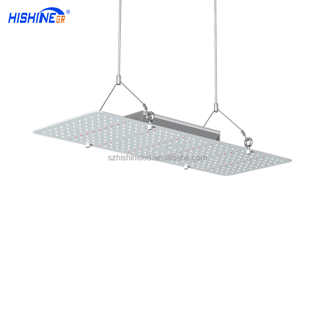 300 Watt Samsung Lm301h Led Grow Light Manufacturer Horticulture Modern Grow Light Controller Reflector Grow Light