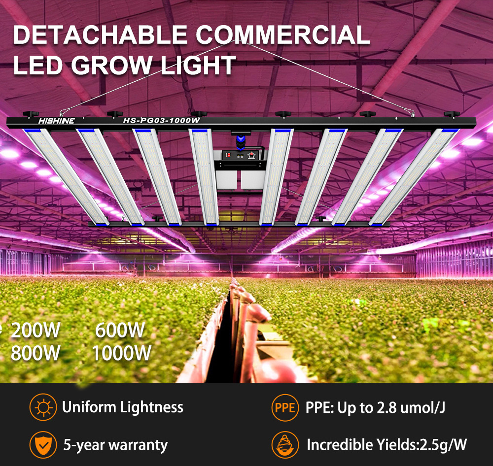 100w Led Grow Light Uv Ir Spectrum Outdoor Greenhouse Lighting Samsung Lm301b Chips 640w 800w 1000w Plant Light