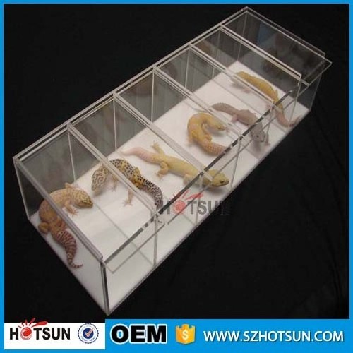 acrylic gecko snake reptile display cases