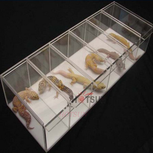 acrylic gecko snake reptile display cases