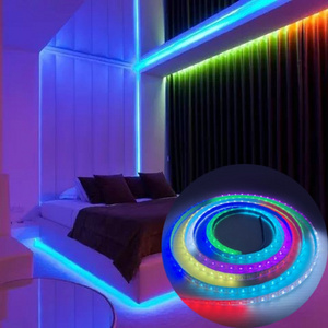 RGB Addressable SPI DMX  Dimmable Cabinet White Lighting Tape Bedroom Ceiling DC 5V 12V 24V LED Strip Light For Indoor Outdoor