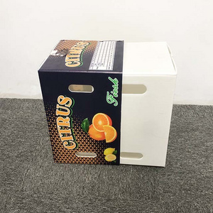 Full Color Water Printing Manufacturer Recycled Foldable PP Corrugated Coroplast Fruit Vegetable Box