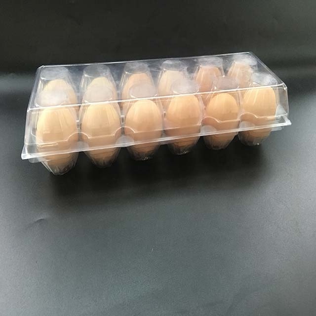 Wholesale tri fold 12 Holes Egg Box Plastic Clamshell Blister Egg Tray Packaging