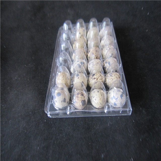 Plastic blister biodegrade food packaging tray quail egg cartons