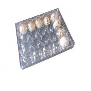 Plastic blister biodegrade food packaging tray quail egg cartons