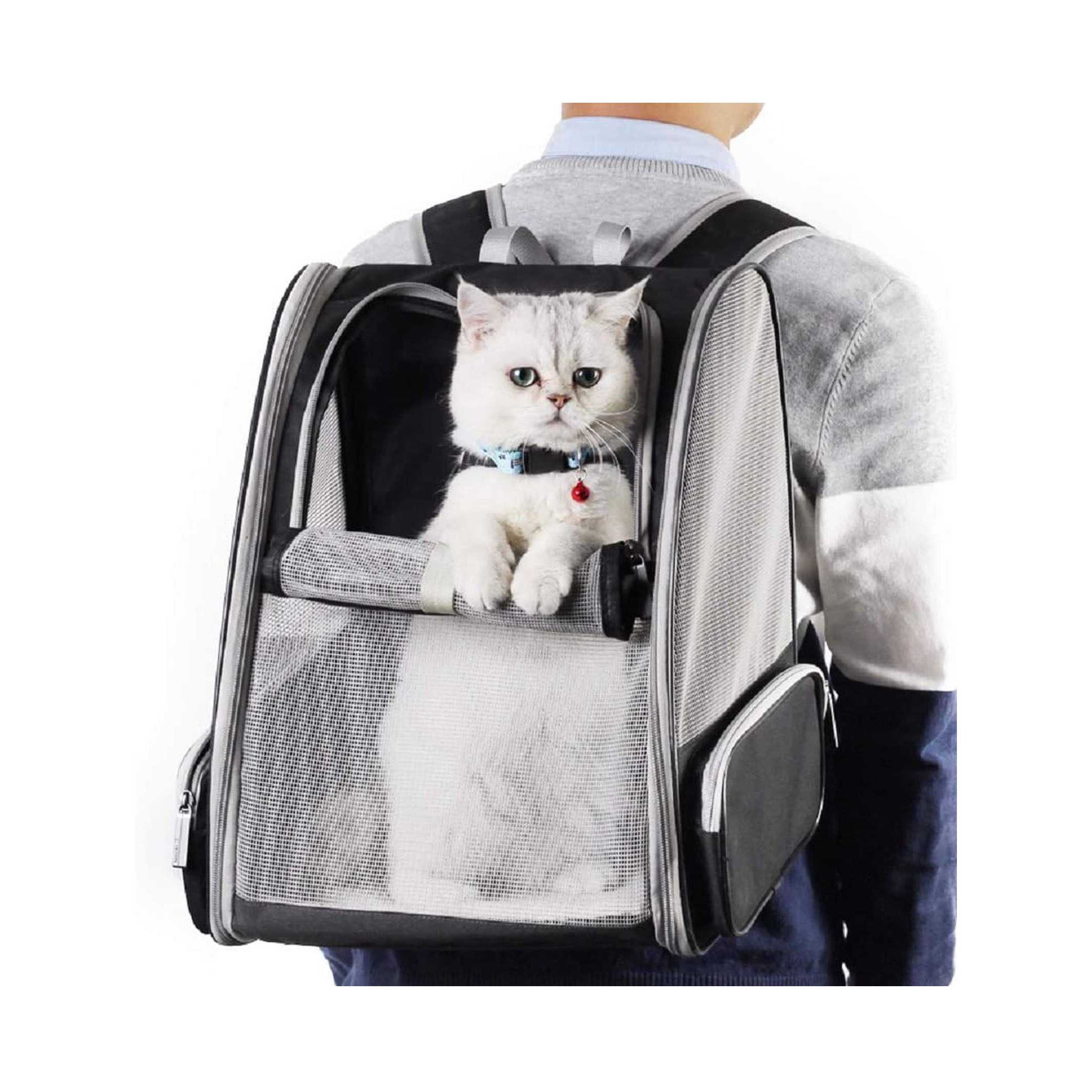 Pet Backpack Carrier Collapsible Buckle Support With Safety Straps For Small Cat Dog