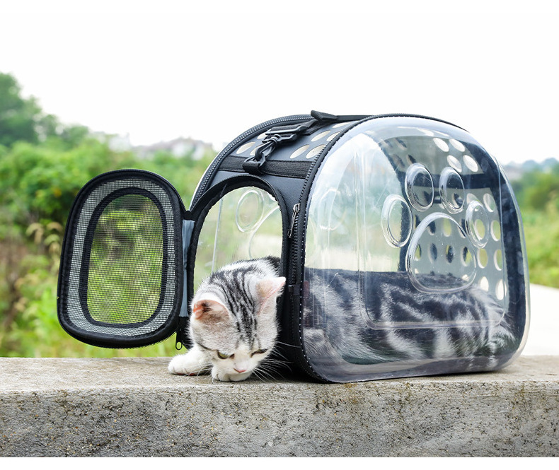 Airline Approved Portable Dog Space Bag Large-capacity Foldable Breathable Expandable Cat Dog Backpack Pet Bag Carrier