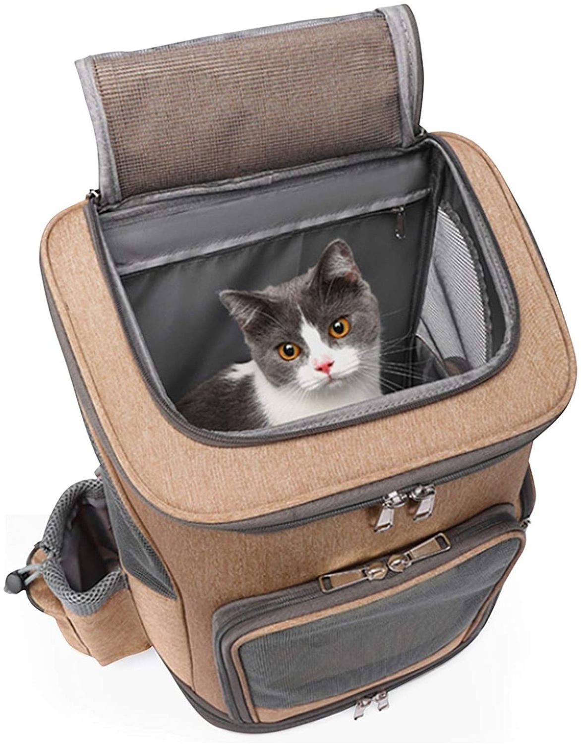 Wheeled Pet Carrier Pet Stroller Travel Carrier Car Seat for Dogs Cats Puppy Comfort Cat Backpack