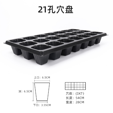 Hot selling cactus fruit, tomato branch, red beer pear seed germination, seedling raising, plastic suction tray