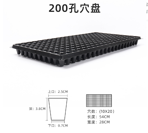 Hot selling cactus fruit, tomato branch, red beer pear seed germination, seedling raising, plastic suction tray