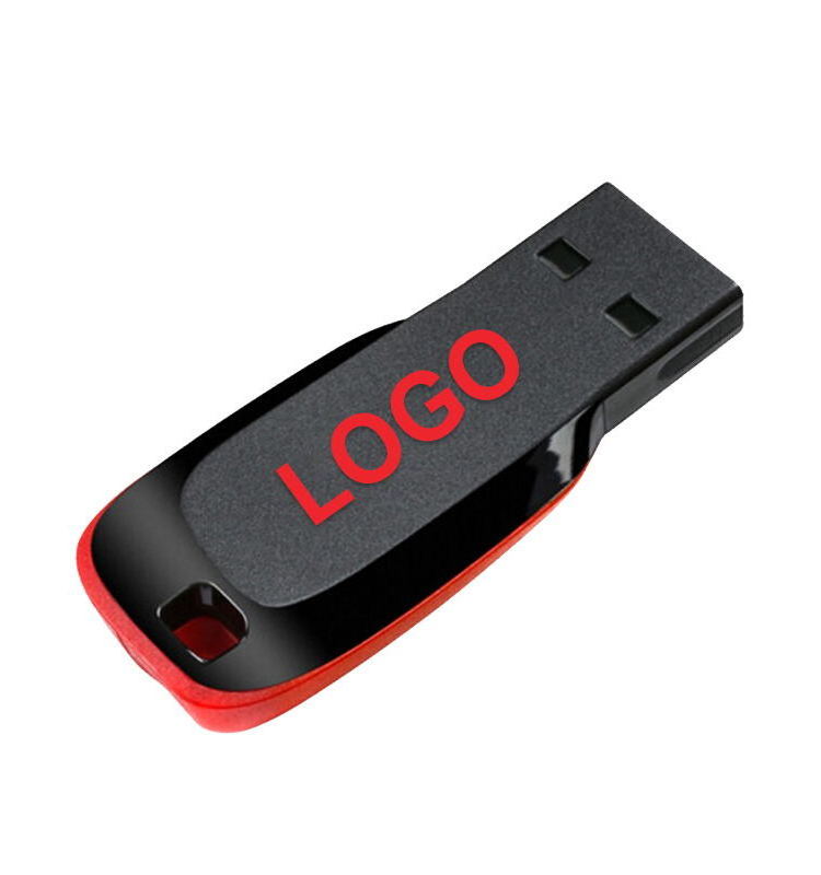 Supplier Stick 256Mb 512Mb 1Gb 2Gb 4Gb 8Gb Estuche Para Memoria Plastico Lock Key Plastic Material Usb Flash Drive Suppliers