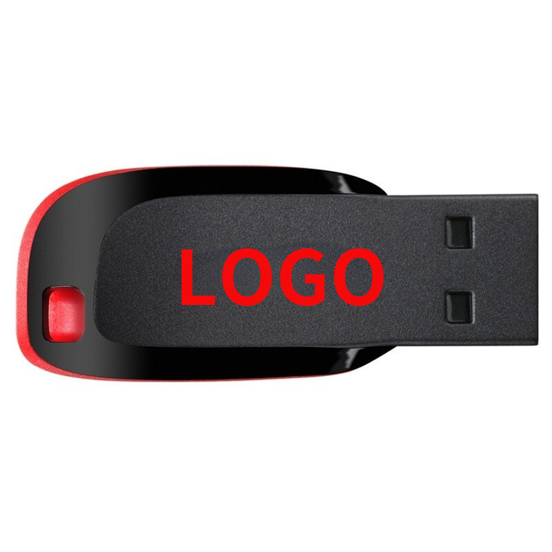 Supplier Stick 256Mb 512Mb 1Gb 2Gb 4Gb 8Gb Estuche Para Memoria Plastico Lock Key Plastic Material Usb Flash Drive Suppliers